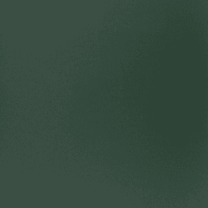 Vert Foncé