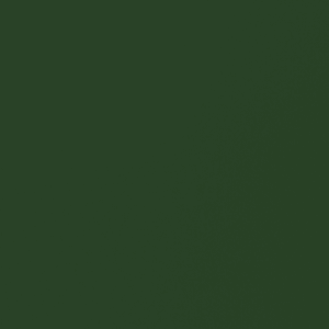 Vert forêt